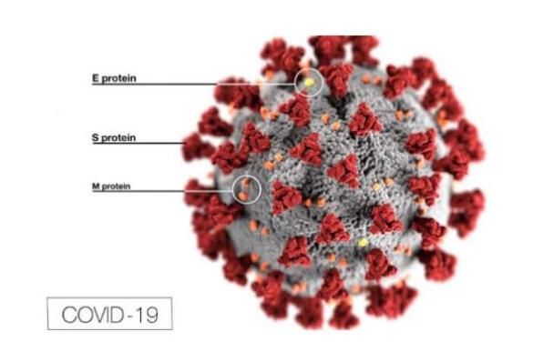 COVID-19對歐盟MDR，SCIP廢物框架指令的影響